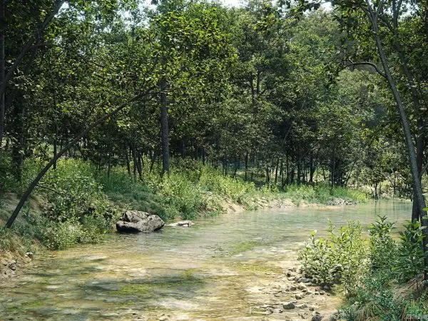 Max Tree – MAXTREE VOL 47