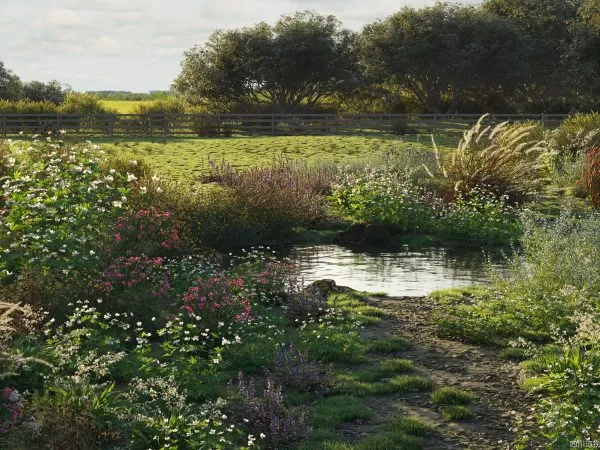 Max Tree – MAXTREE VOL 49