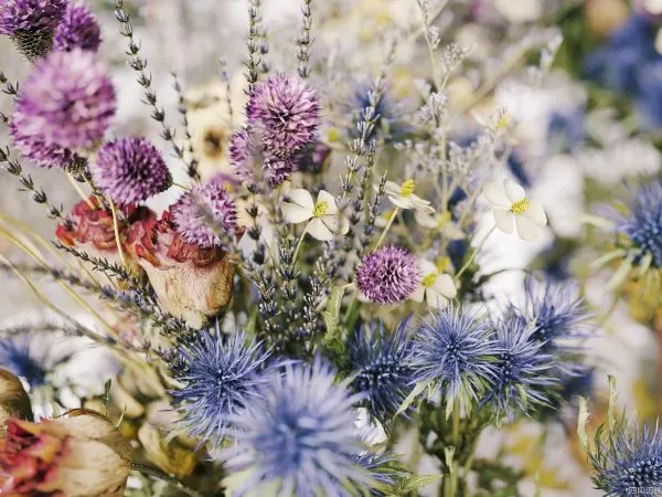 Max Tree – MAXTREE VOL 53