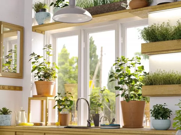 Max Tree – MAXTREE VOL 57