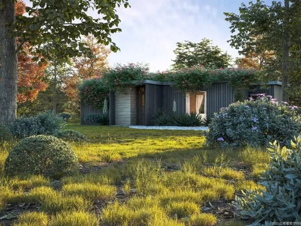 Max Tree – MAXTREE VOL 60