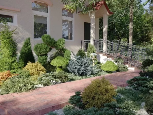 Max Tree – MAXTREE VOL 63