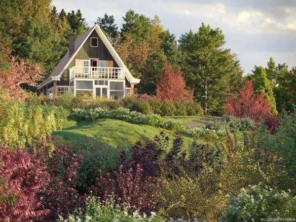 Max Tree – MAXTREE VOL 81