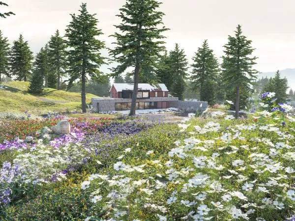 Max Tree – MAXTREE VOL 91