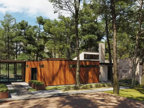 Max Tree – MAXTREE VOL 95