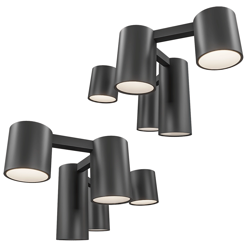 Maxlight – Ceiling lamp Laxer C0229 3D Model Maxlight – Ceiling lamp Laxer C0229 3D Model
