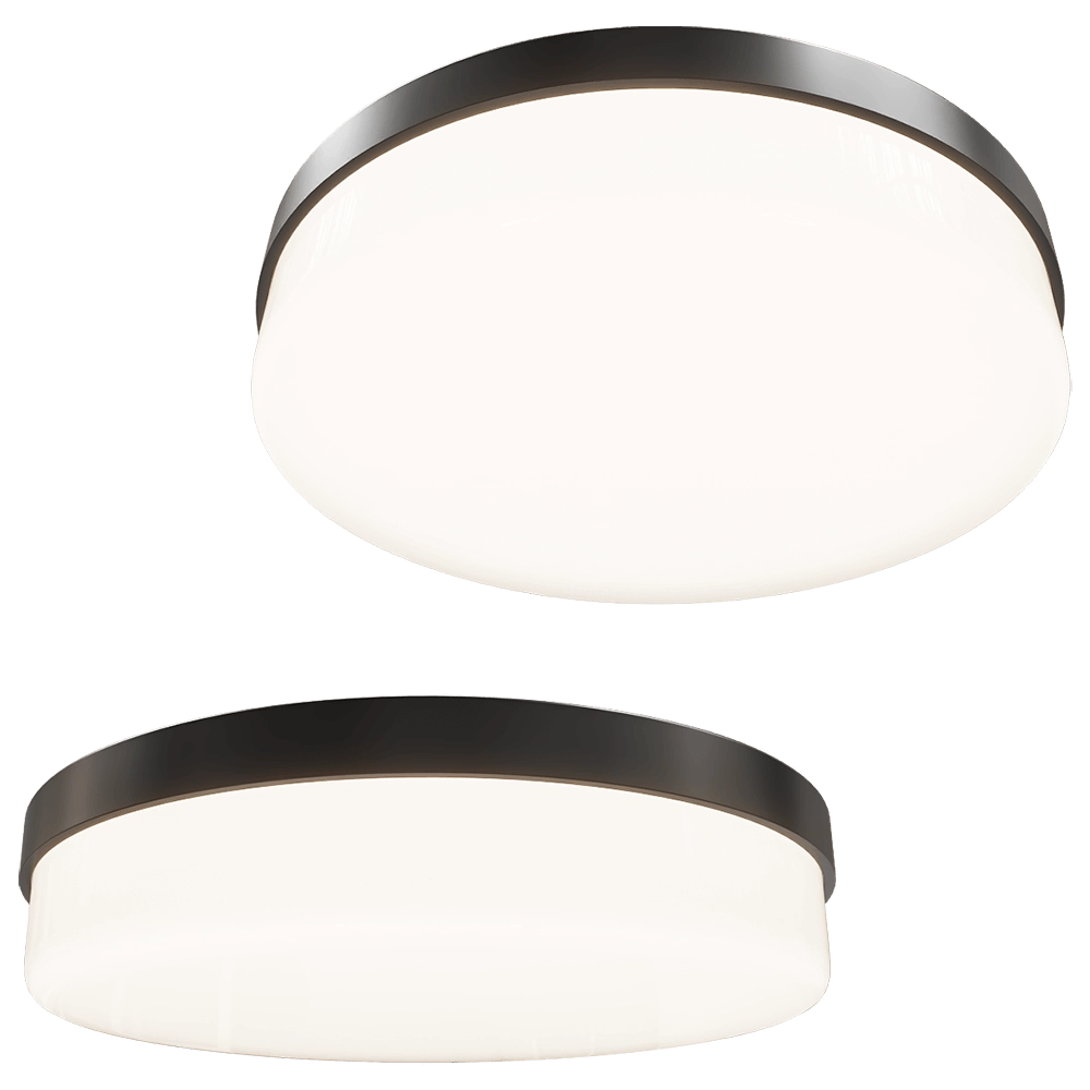Maxlight – Ceiling lamp Oda C0194 3D Model