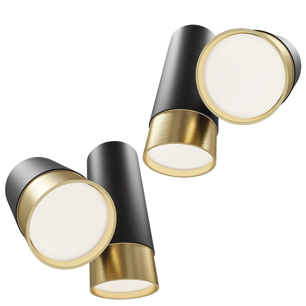 Maxlight – Ceiling lamp Puma C0195 3D Model