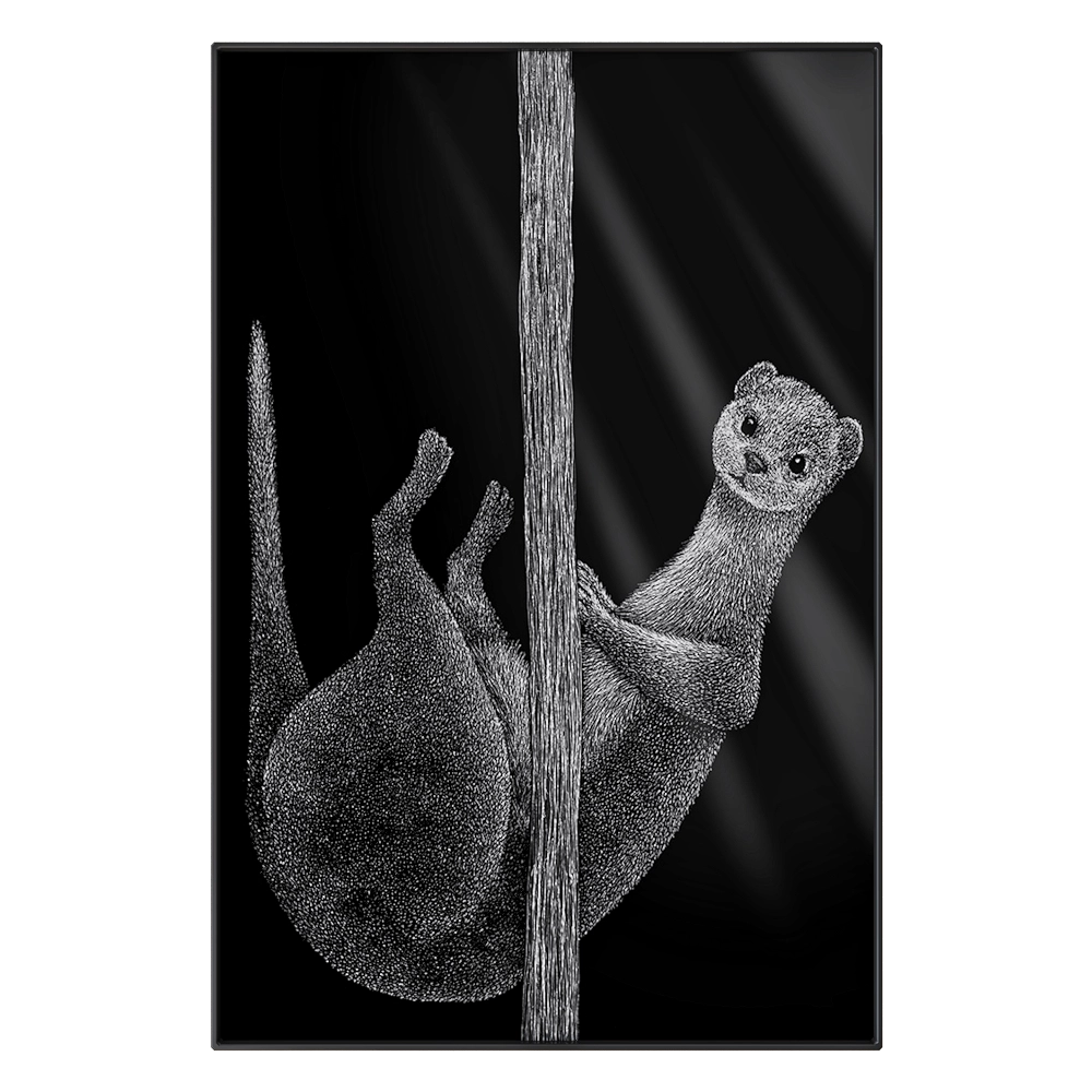 Maxlight – Picture LMR02 3D Model