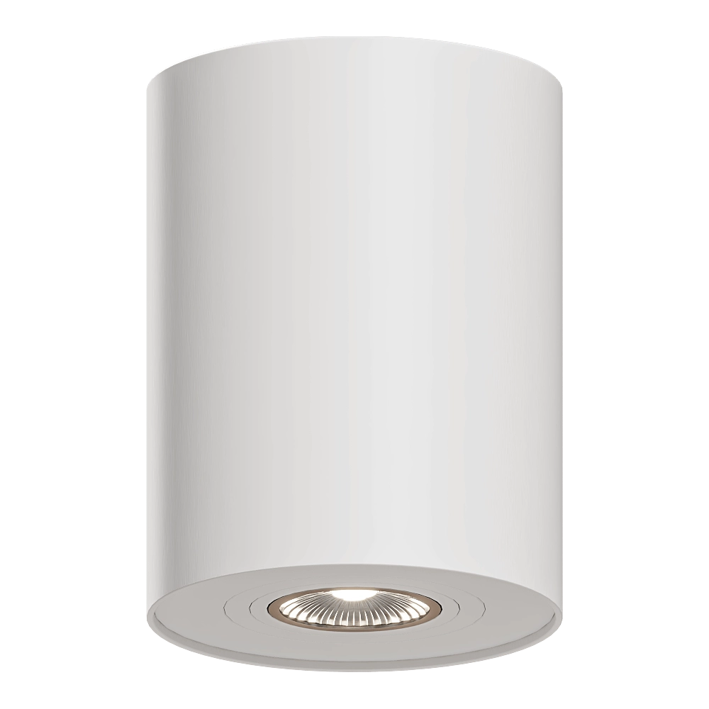 Maxlight – Spot light Basic Round C0067 3D Model