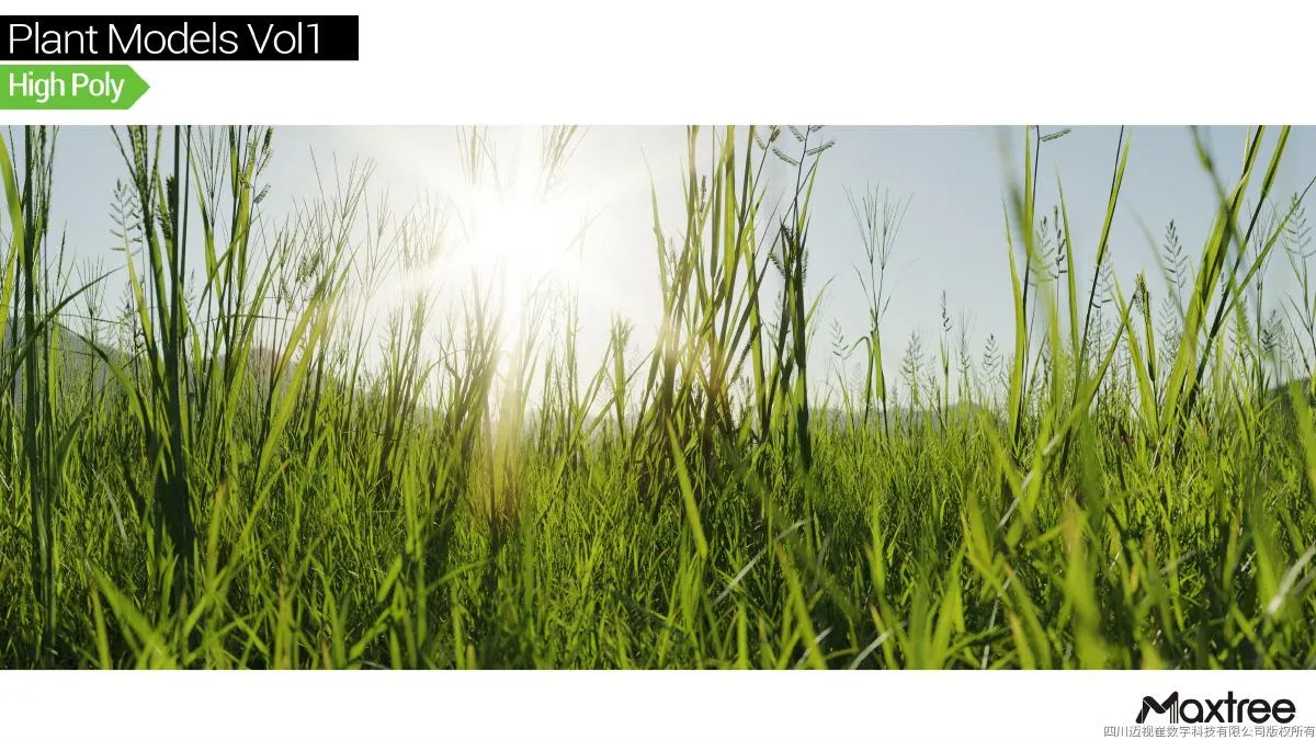 Maxtree Plant Models Vol.01