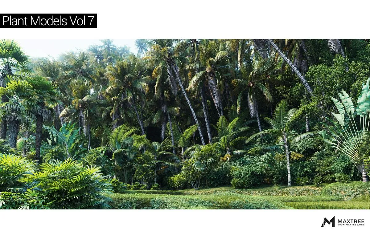 Maxtree Plant Models vol.07