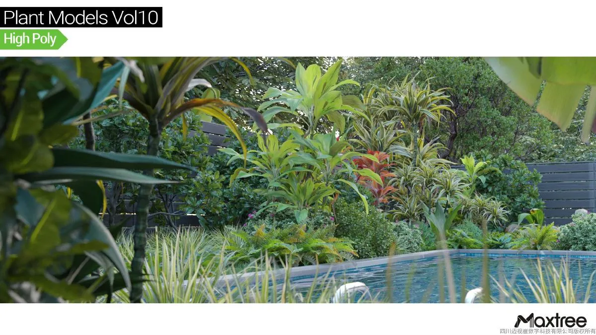 Maxtree Plant Models Vol.10