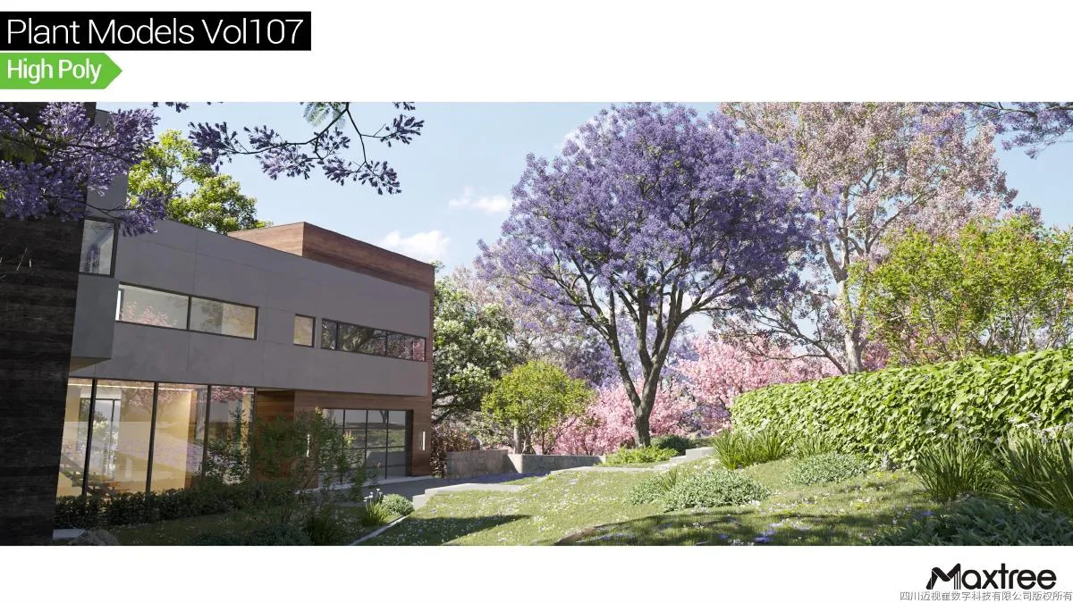 Maxtree Plant Models Vol.107