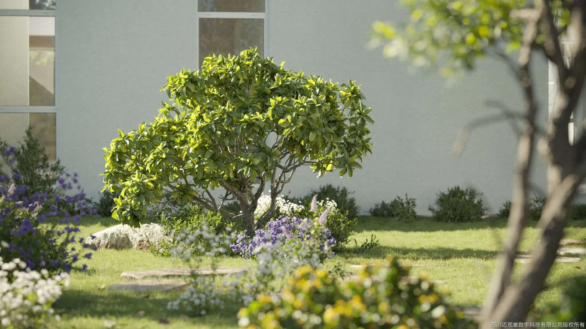 Maxtree – Plant Models Vol 112