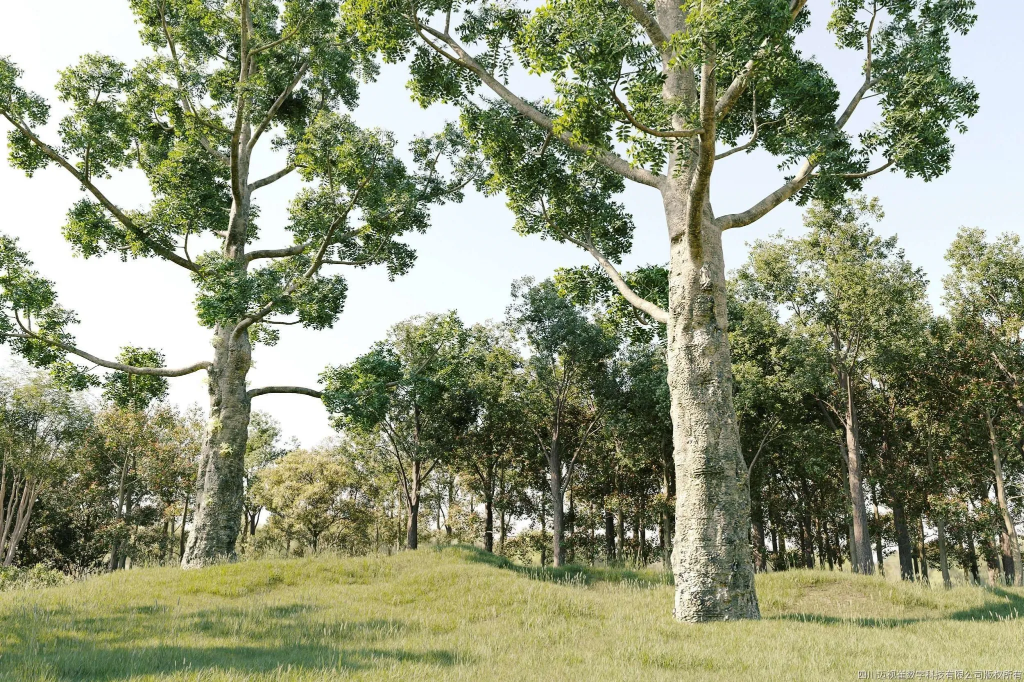 Maxtree – Plant Models Vol 121