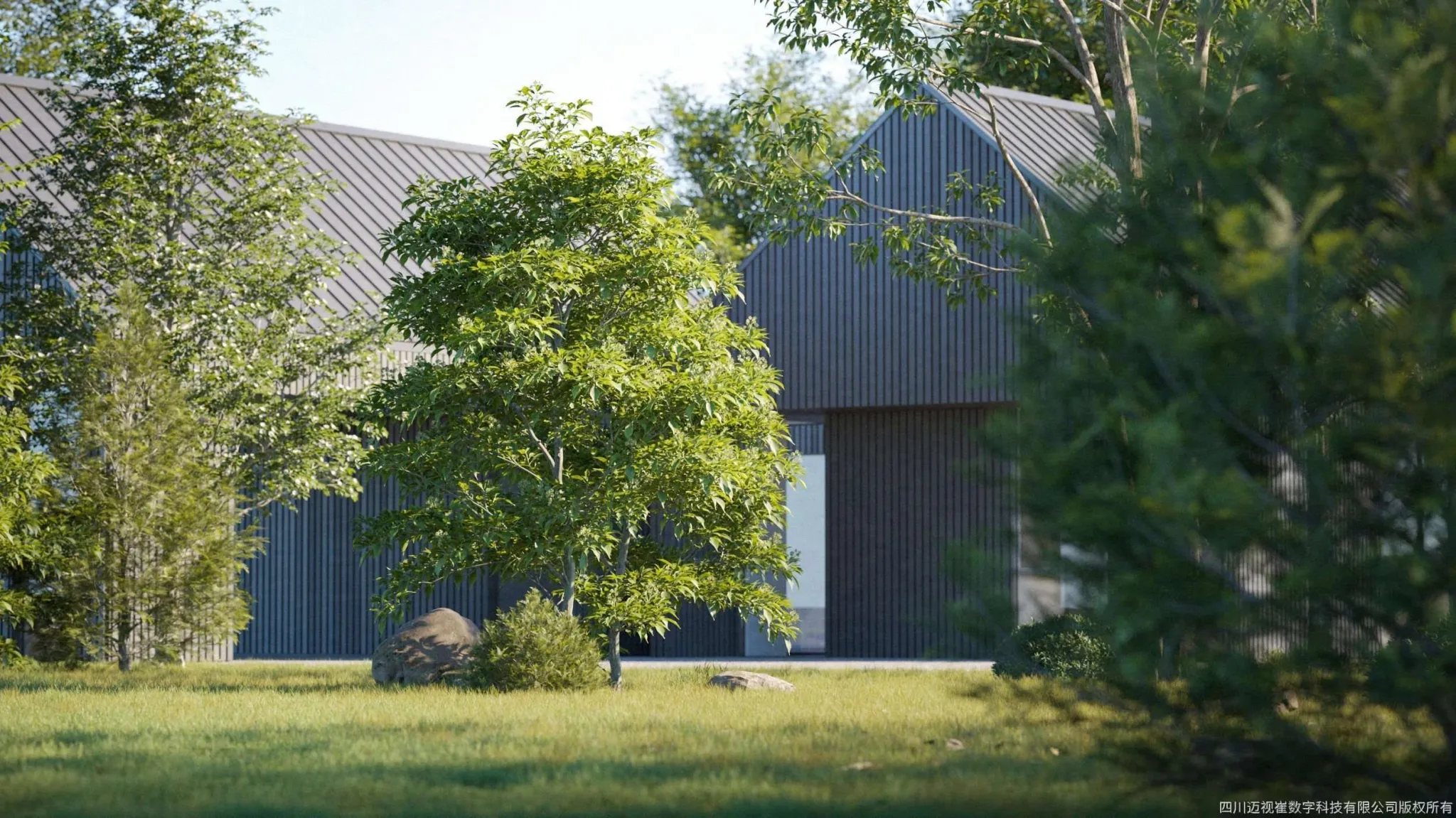 Maxtree – Plant Models Vol 122