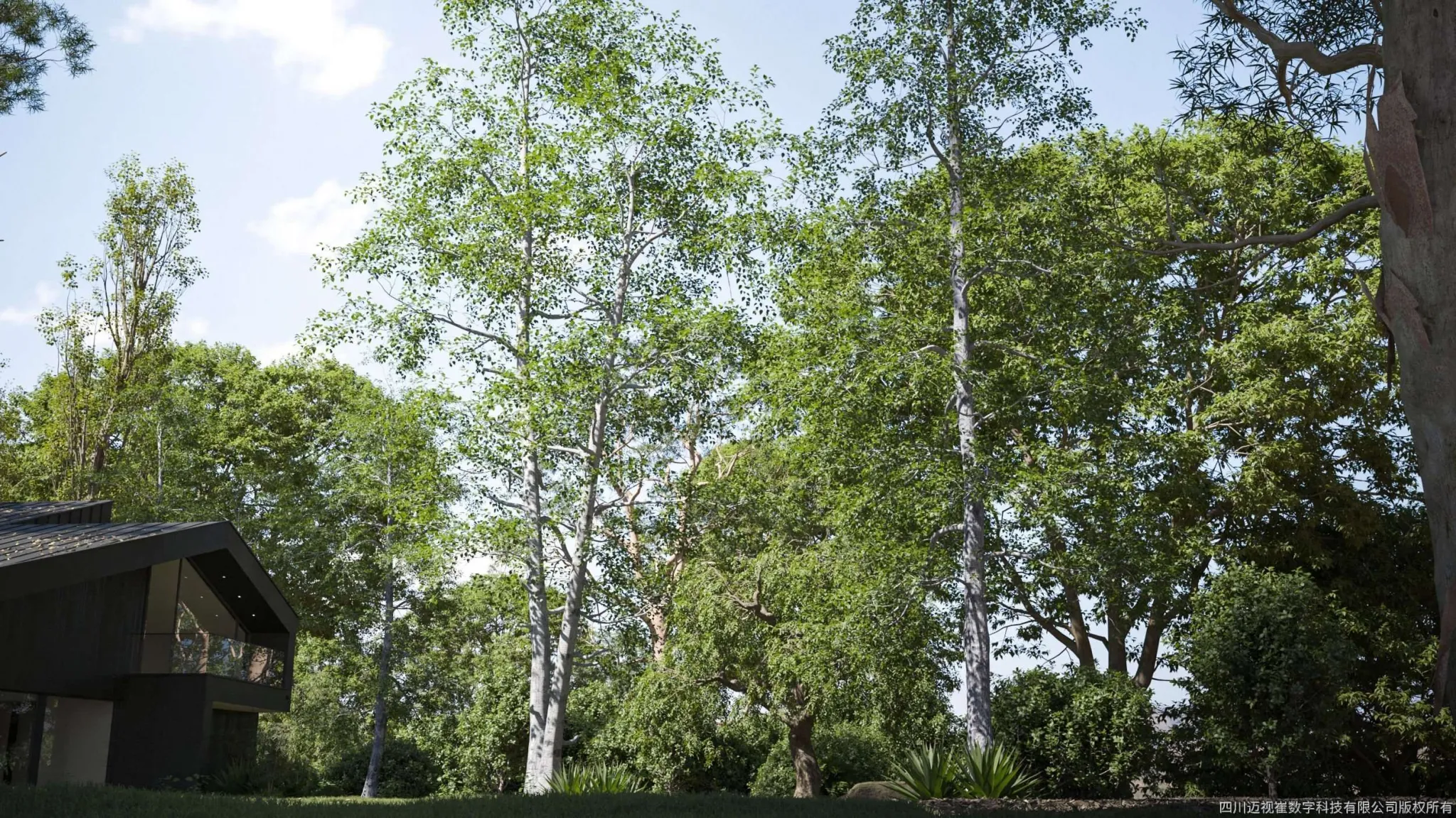 Maxtree – Plant Models Vol 124