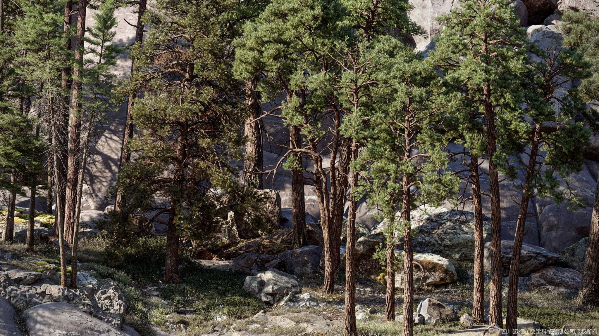 Maxtree – Plant Models Vol 126