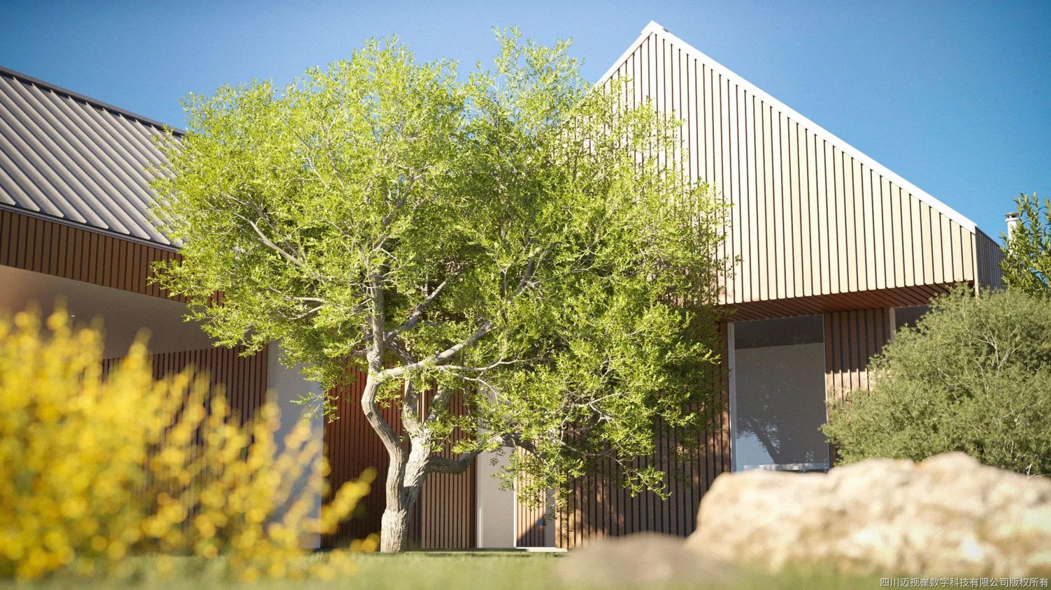 Maxtree – Plant Models Vol 127