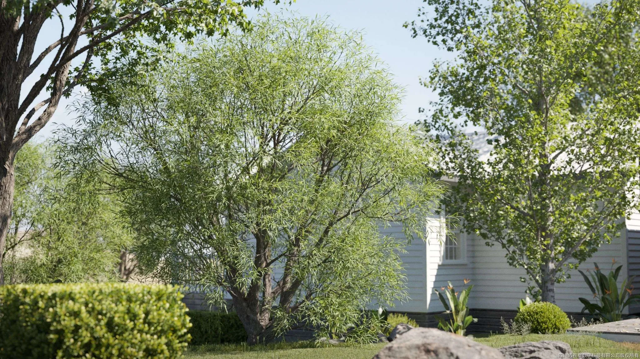 Maxtree – Plant Models Vol 131