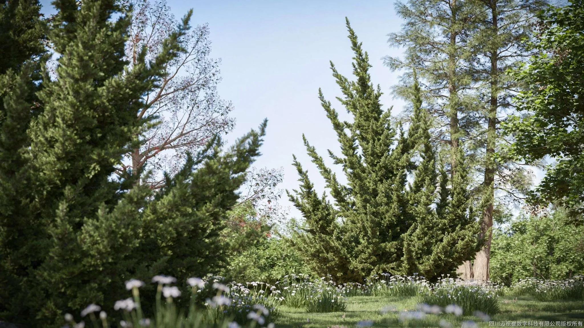 Maxtree – Plant Models Vol 132