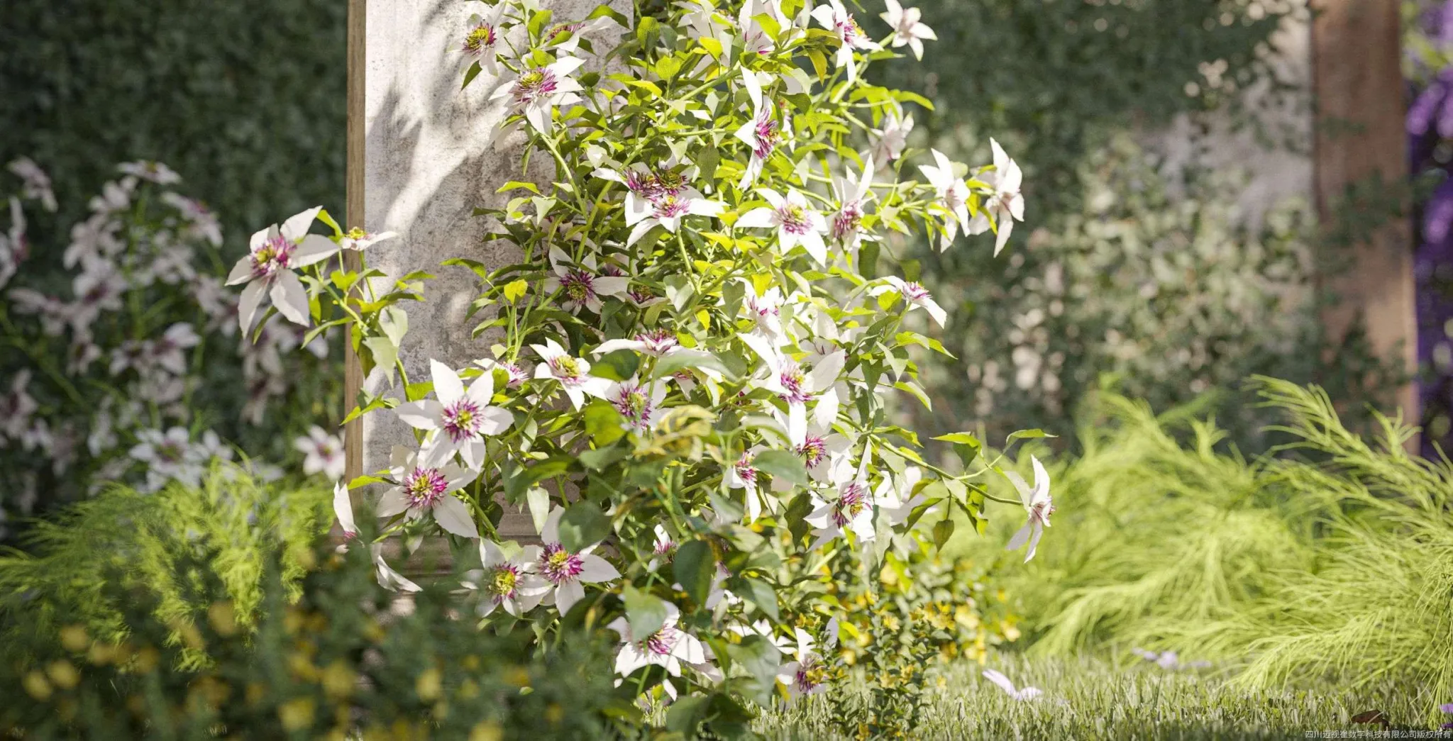 Maxtree – Plant Models Vol 133