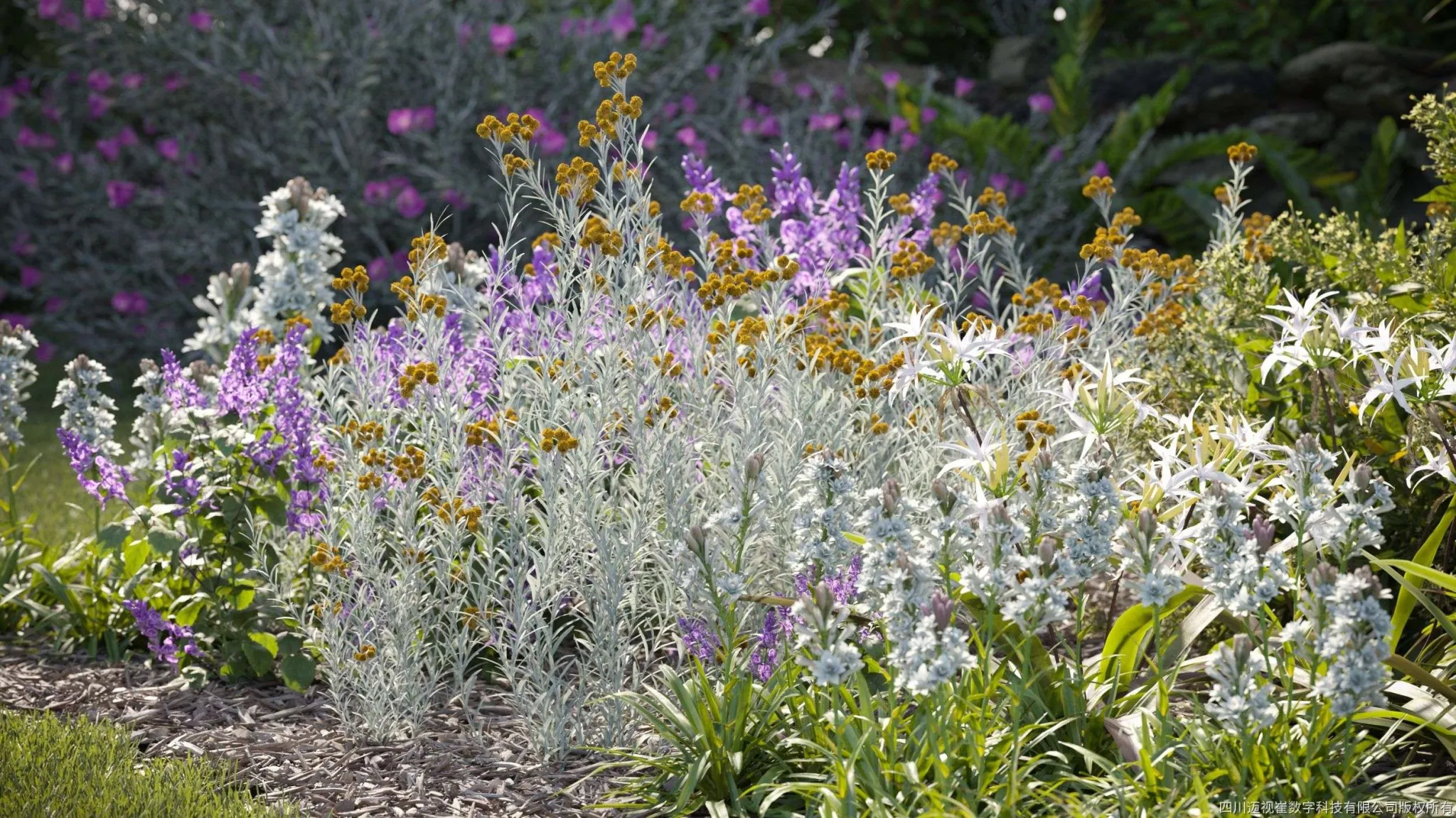 Maxtree – Plant Models Vol 135