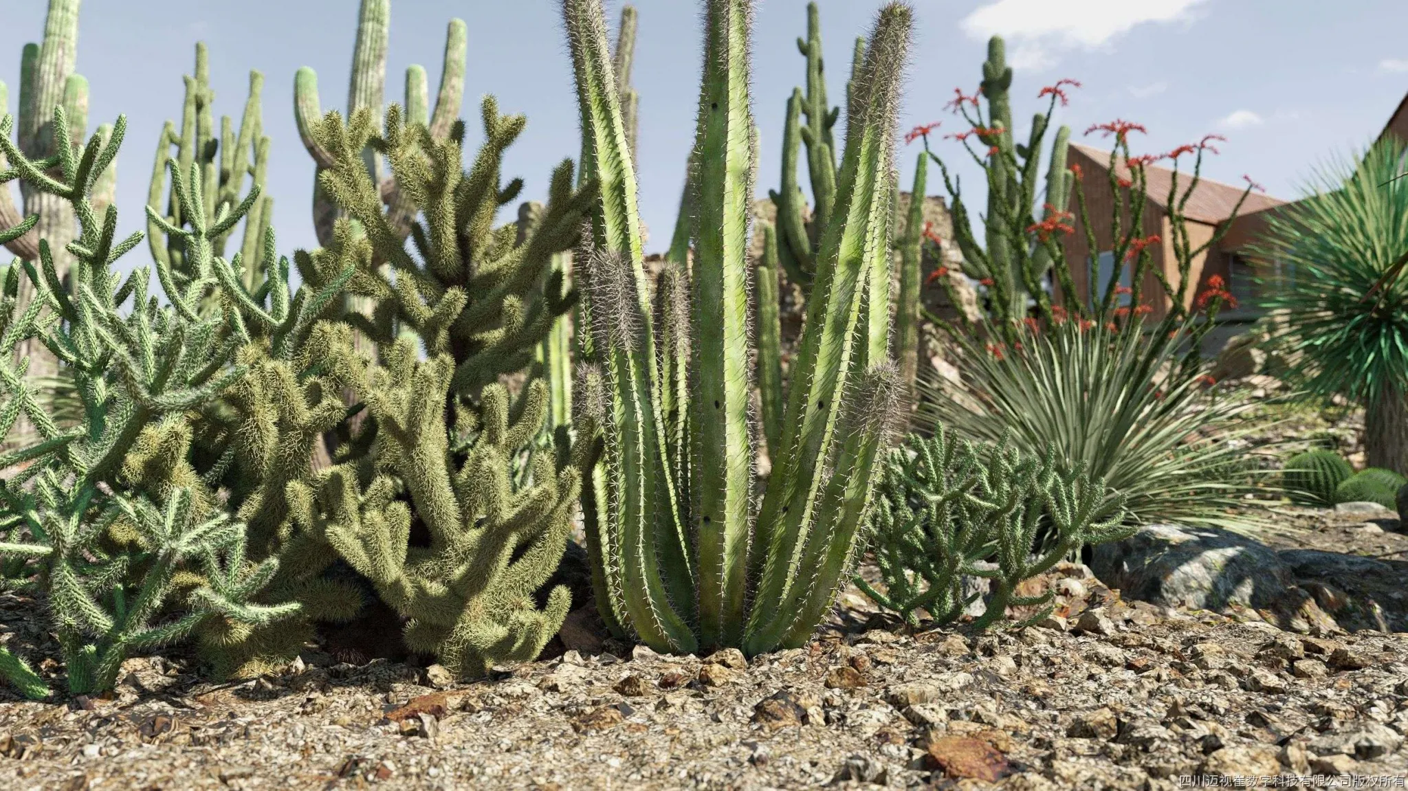 Maxtree – Plant Models Vol 138