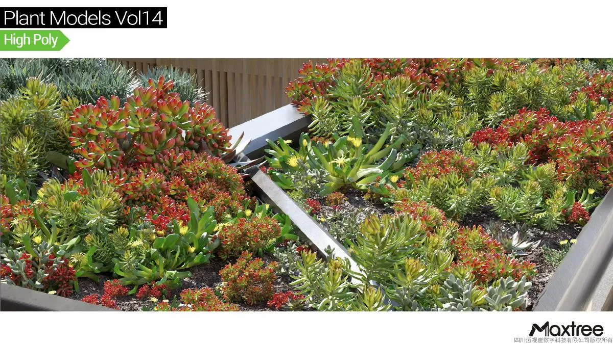 Maxtree Plant Models Vol.14