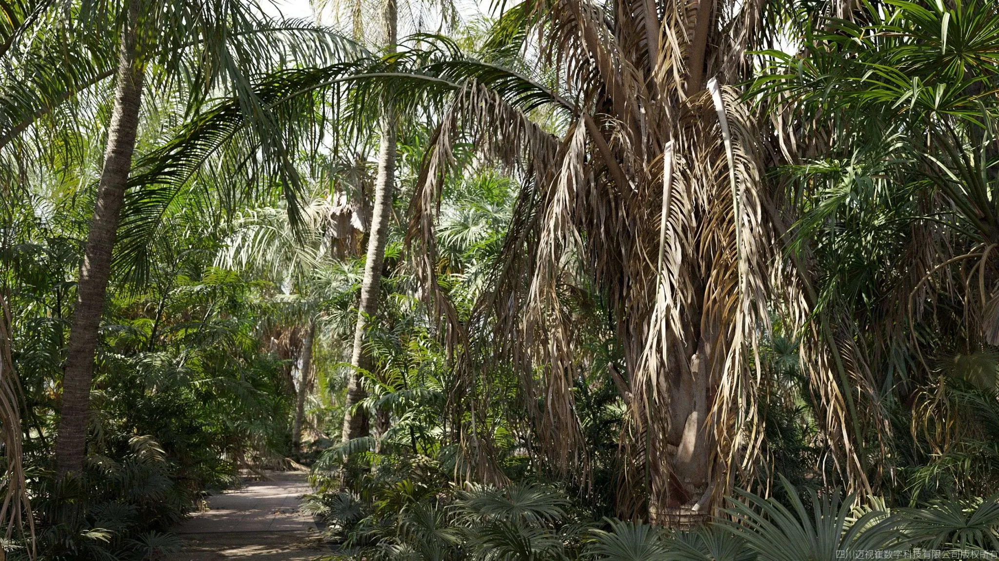 Maxtree – Plant Models Vol 148