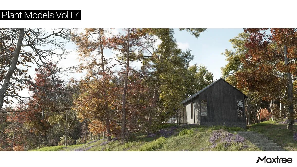 Maxtree Plant Models Vol.17 Maxtree Plant Models Vol.17