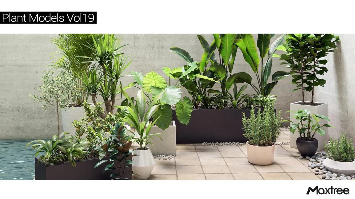 Maxtree Plant Models Vol.19 Maxtree Plant Models Vol.19
