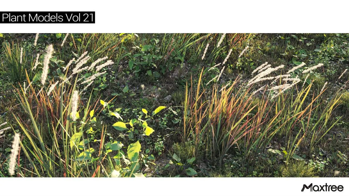 Maxtree Plant Models Vol.21 Maxtree Plant Models Vol.21