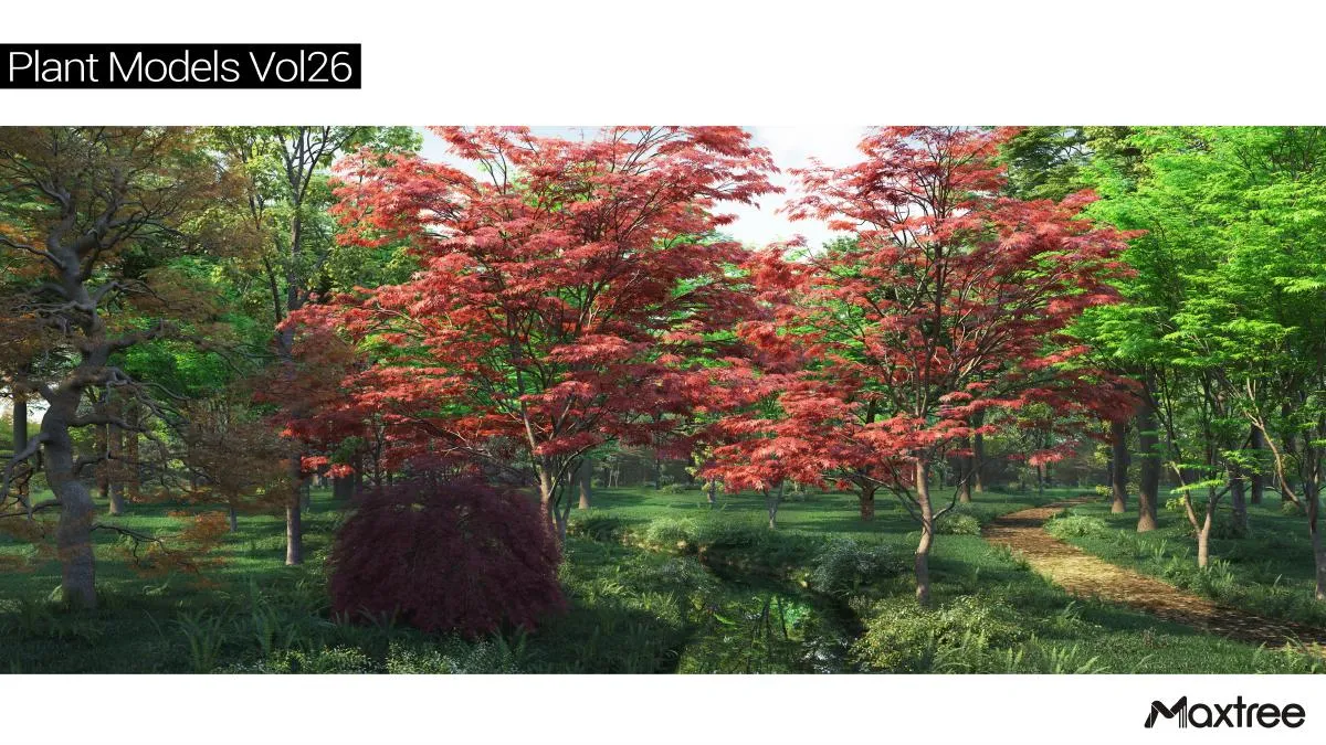 Maxtree Plant Models Vol.26 Maxtree Plant Models Vol.26