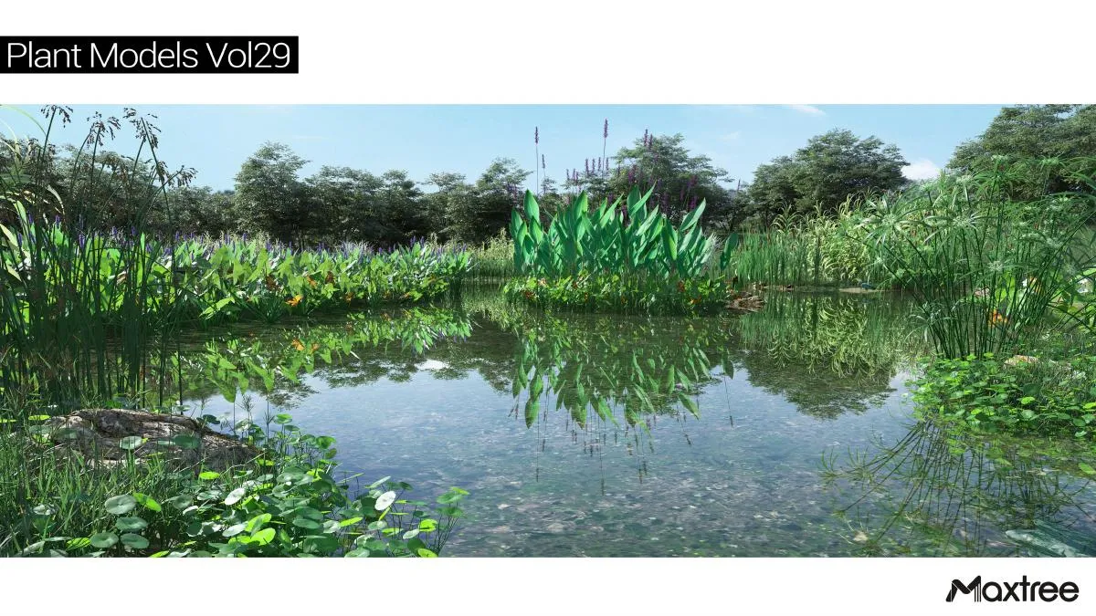 Maxtree Plant Models Vol.29 Maxtree Plant Models Vol.29