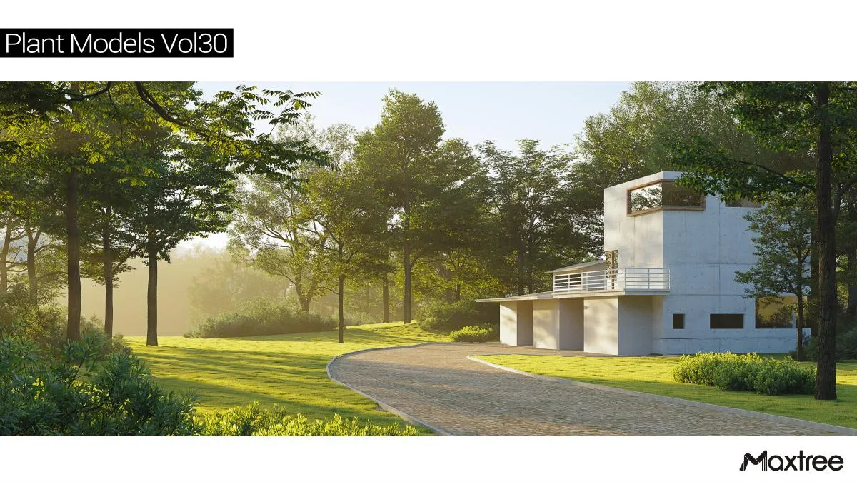 Maxtree Plant Models Vol.30 Maxtree Plant Models Vol.30