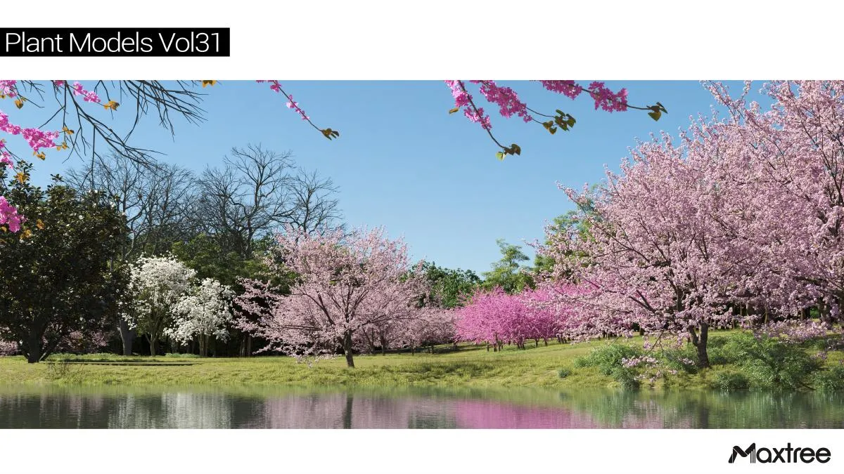 Maxtree Plant Models Vol.31 Maxtree Plant Models Vol.31