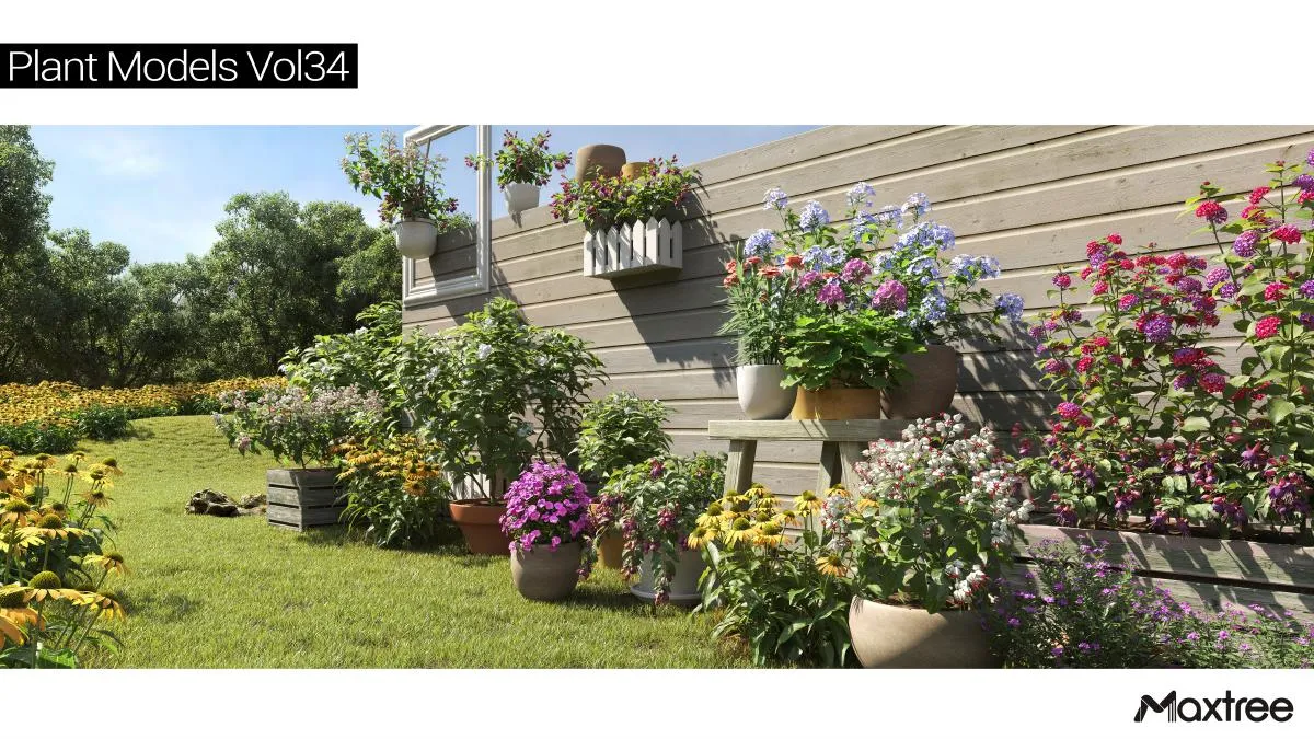 Maxtree Plant Models Vol.34 Maxtree Plant Models Vol.34