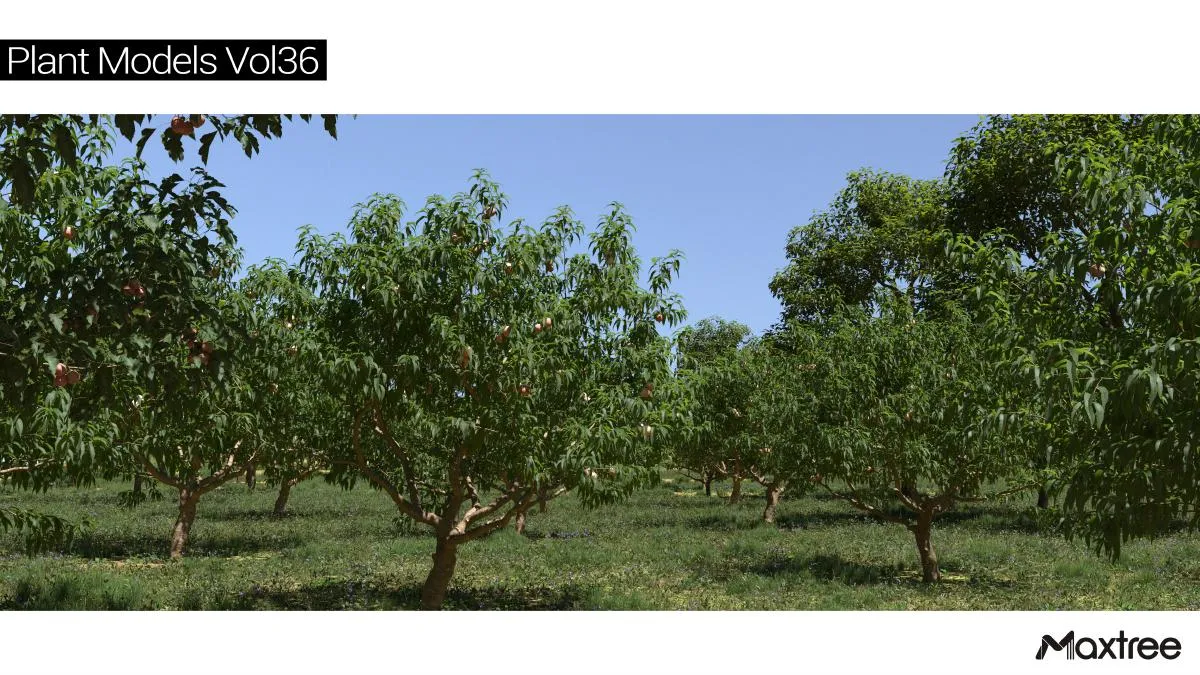 Maxtree Plant Models Vol.36 Maxtree Plant Models Vol.36