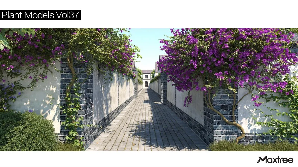 Maxtree Plant Models Vol.37 Maxtree Plant Models Vol.37