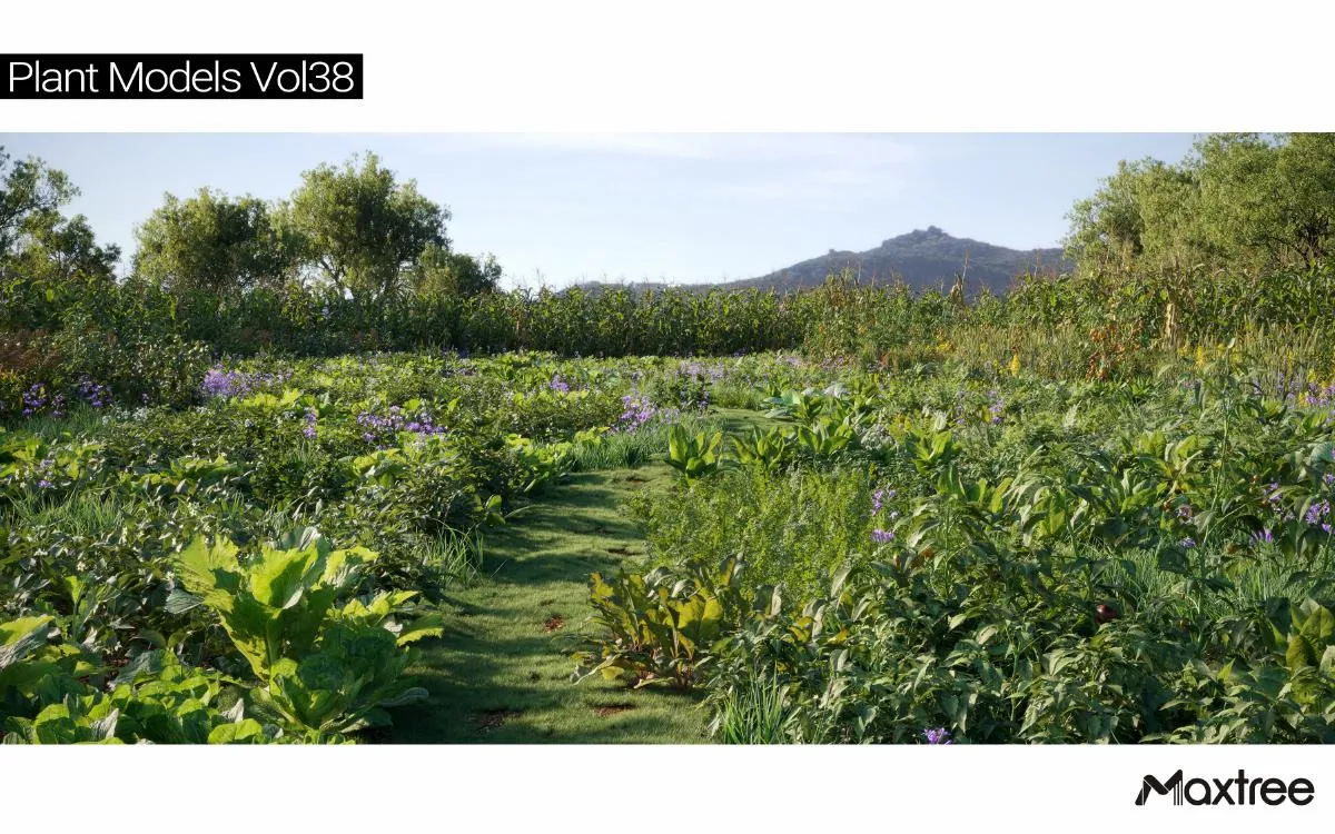 Maxtree Plant Models Vol.38 Maxtree Plant Models Vol.38