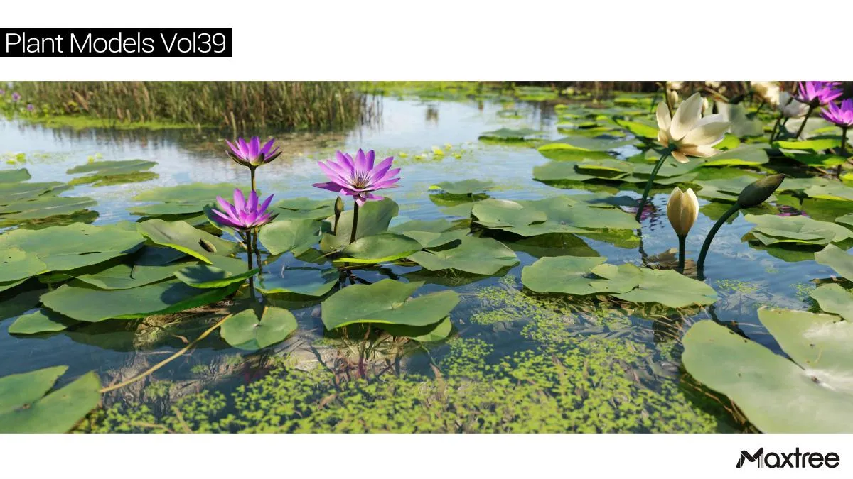 Maxtree Plant Models Vol.39 Maxtree Plant Models Vol.39