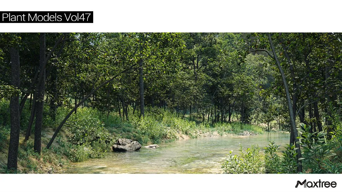 Maxtree Plant Models Vol.47 Maxtree Plant Models Vol.47