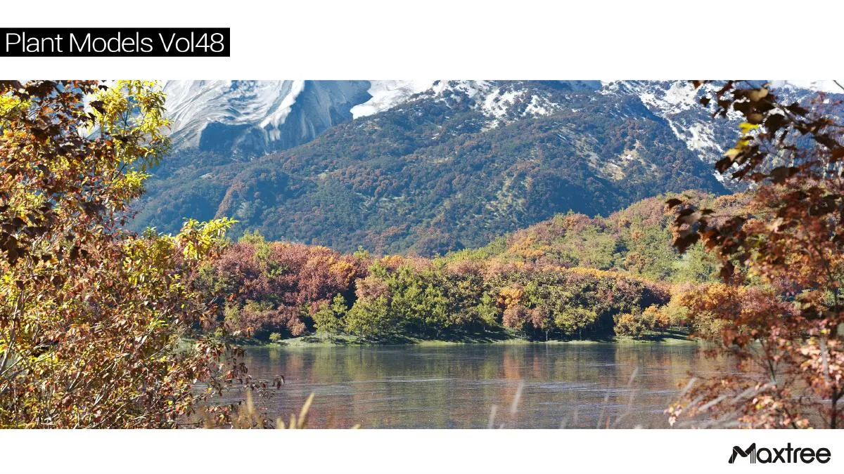 Maxtree Plant Models Vol.48 Maxtree Plant Models Vol.48