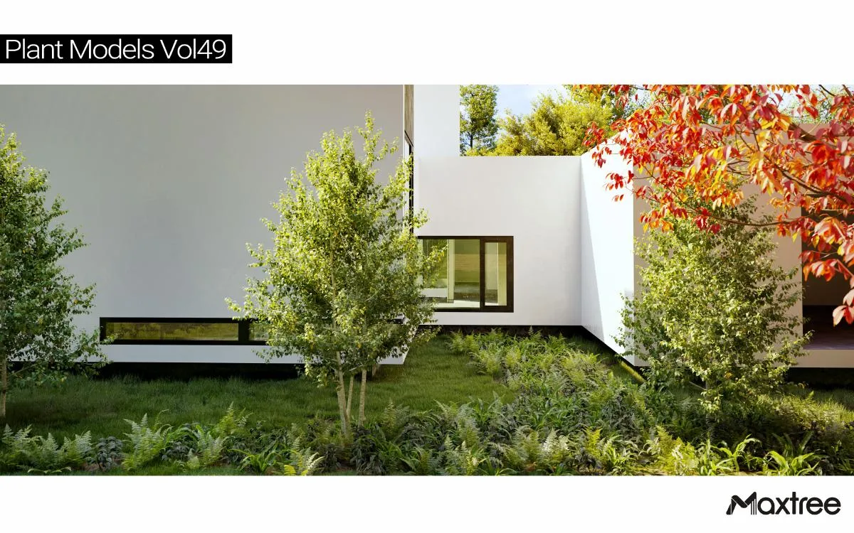 Maxtree Plant Models Vol.49 Maxtree Plant Models Vol.49