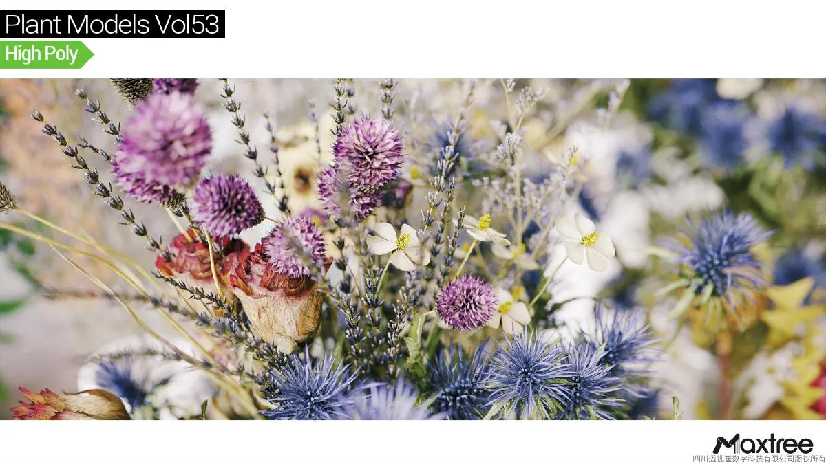 Maxtree Plant Models Vol.53 Maxtree Plant Models Vol.53