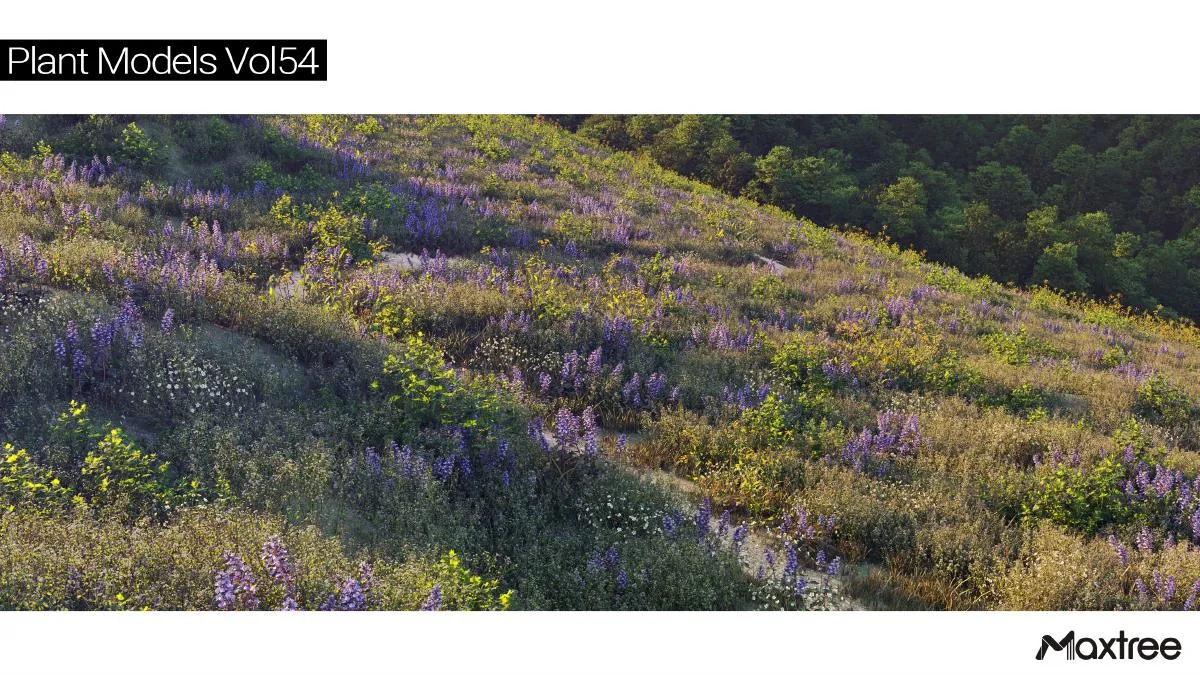 Maxtree Plant Models Vol.54 Maxtree Plant Models Vol.54