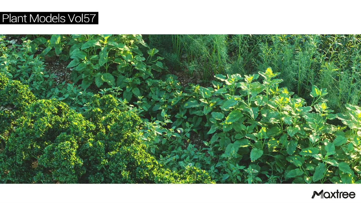 Maxtree Plant Models Vol.57 Maxtree Plant Models Vol.57