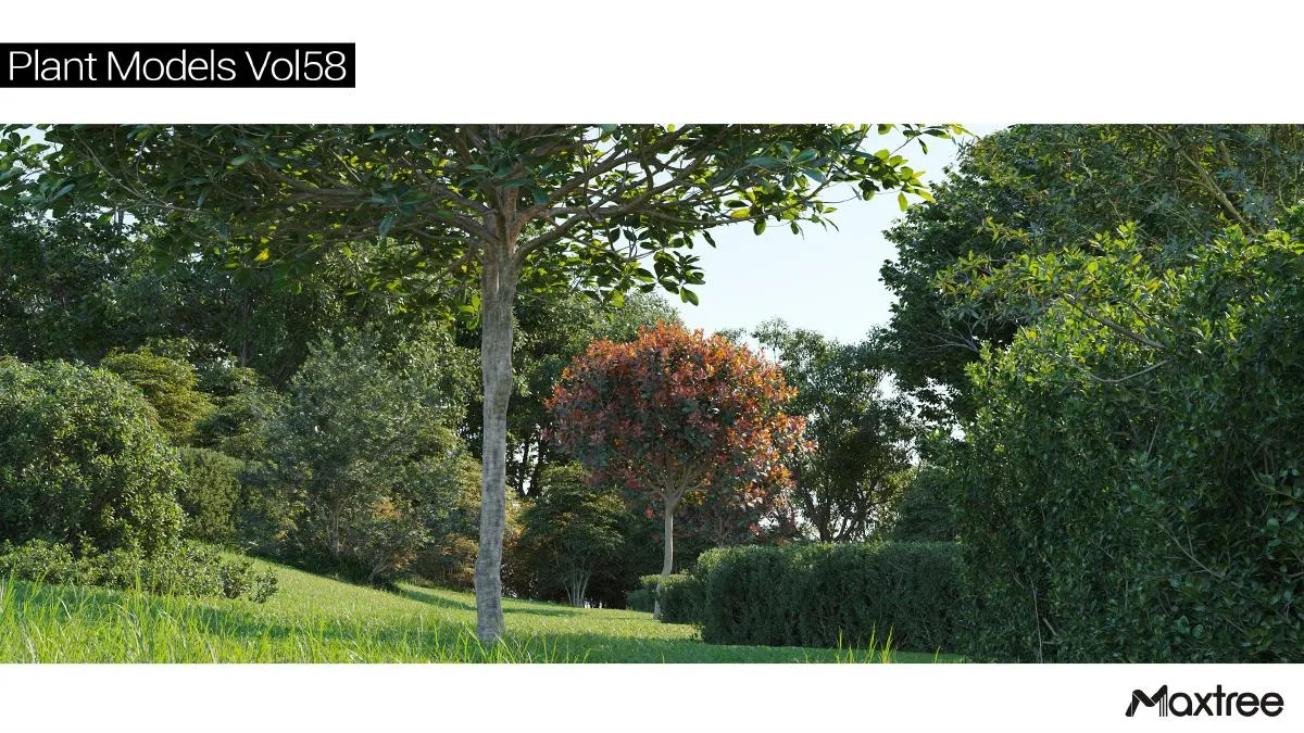 Maxtree Plant Models Vol.58 Maxtree Plant Models Vol.58